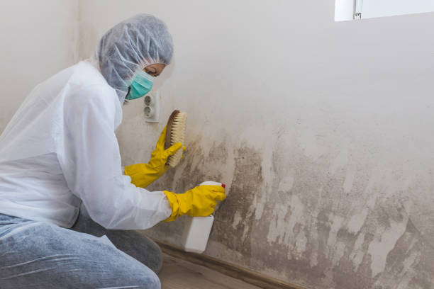 Best Residential Mold Inspection & Testing  in Hanover, OH